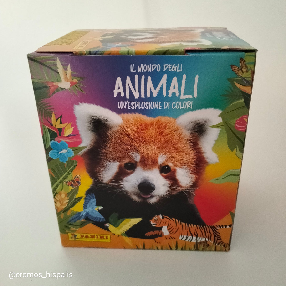 Panini Mundo Animal de Mil Colores caja 50 sobres